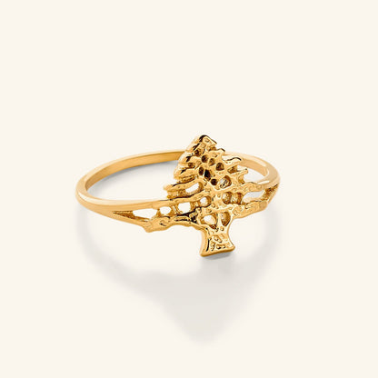 Cedar of Lebanon Ring